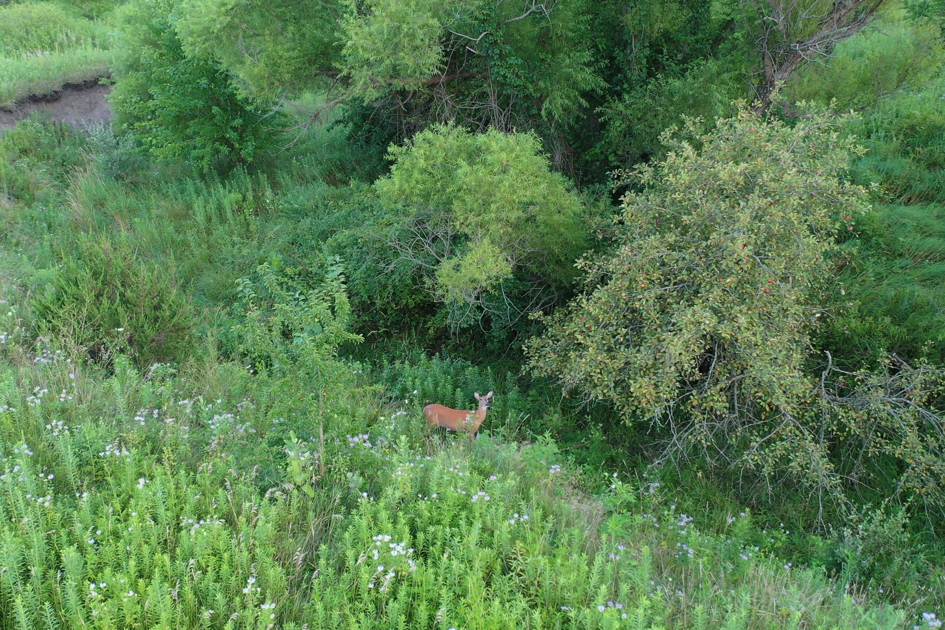 Listing Photo: DJI_0119 - frame at 0m53s